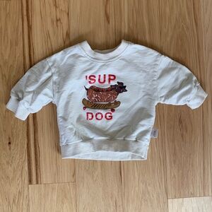 Sup Dog sweater size 9-12m